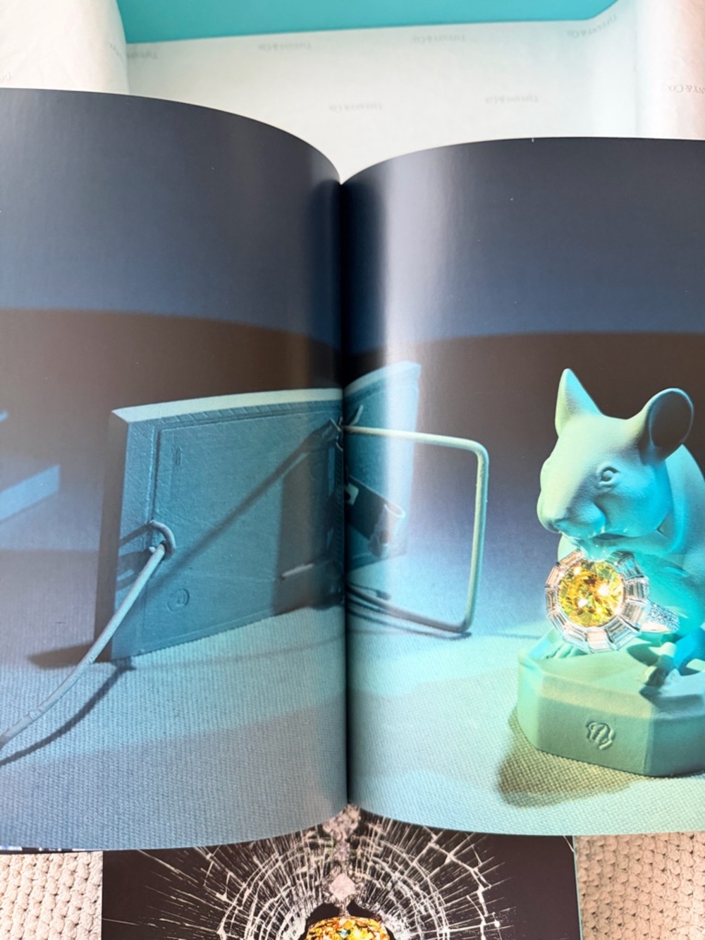 Assouline WINDOWS AT TIFFANY & CO. BOOK New with Box - Picture 10 of 13